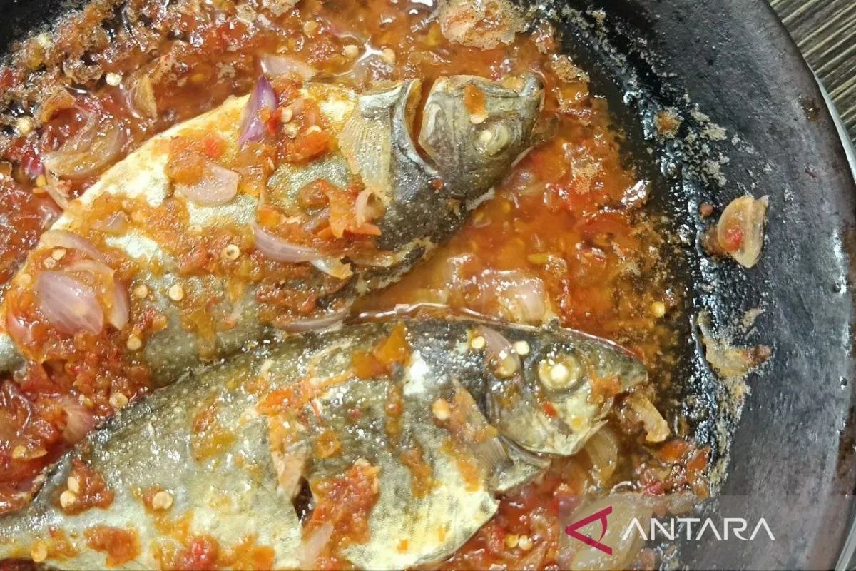 Gammi Bawis Bontang Kuala, kuliner khas Bontang, warisan budaya kuliner Kaltim, sambal gammi bawis, wisata kuliner Bontang