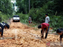 Jalan Rusak Hambat Patroli, Hutan Adat Wehea Kutim Terancam Kehilangan Penjagaan