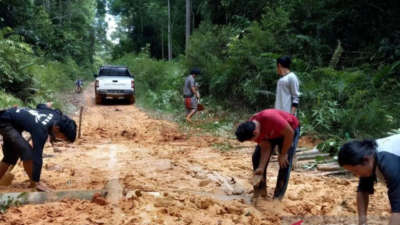 hutan adat Wehea, jalan rusak hutan lindung, patroli hutan Kutim, Dayak Wehea, Kutai Timur
