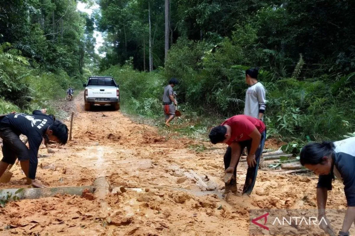 hutan adat Wehea, jalan rusak hutan lindung, patroli hutan Kutim, Dayak Wehea, Kutai Timur