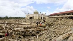 Kemenhut Izinkan Pemanfaatan Kayu Hanyut Banjir untuk Pemulihan 3 Provinsi