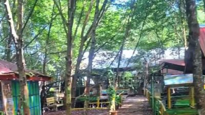 Graha Mangrove BSD, wisata mangrove Bontang, edukasi lingkungan, konservasi mangrove, Bontang Selatan