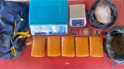 Warga Afganistan Jadi Pemasok Jaringan Pengedar Ganja