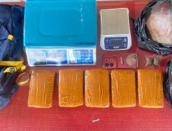 Warga Afganistan Jadi Pemasok Jaringan Pengedar Ganja