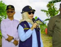 Kerusakan Tahura Bukit Soeharto, Deputi OIKN: Penegakan Hukum Tak Bisa Ditawar