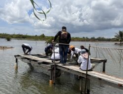 Rudi Dorong Tambak Udang Ramah Lingkungan dan Berkelanjutan