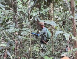 Dedy Okto Nooryanto Minta Potensi Rotan Berau Dioptimalkan