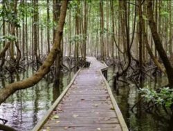 Dispar Kaltim Promosikan Destinasi Wisata Berbasis Konservasi Alam