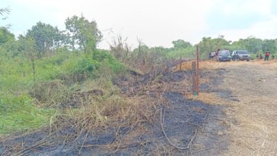Kebakaran Loa Ipuh Dipicu Puntung Rokok, Gubuk dan Lahan Ludes Terbakar