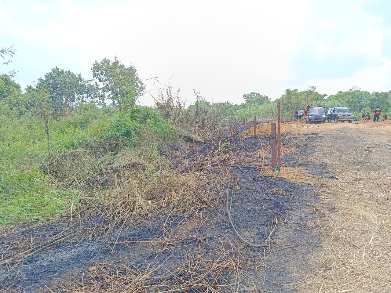 Kebakaran Loa Ipuh Dipicu Puntung Rokok, Gubuk dan Lahan Ludes Terbakar