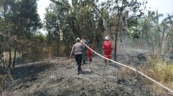 Puncak Kemarau, 14 Kecamatan di Kukar Sudah Alami Karhutla